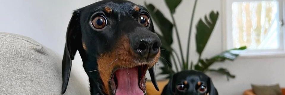 lucaskhoury_'s profile banner image