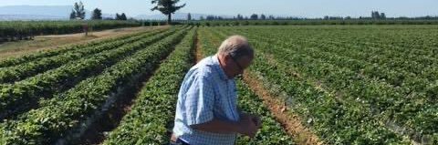 L_MacAulay's profile banner image