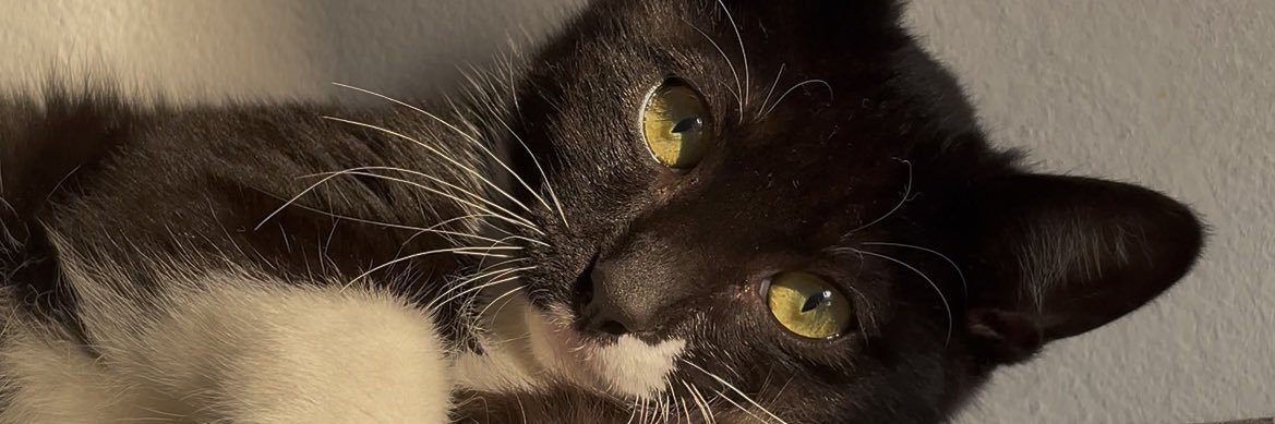 AnnaMuller__'s profile banner image