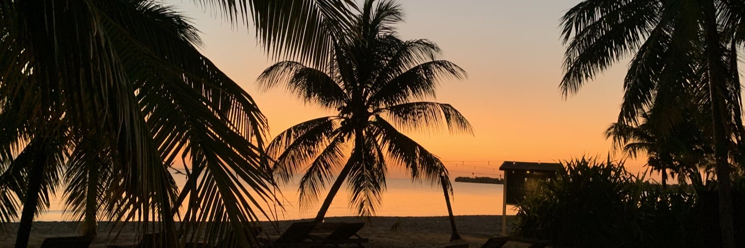 Debbi Fortier🥌🌴🦞 banner