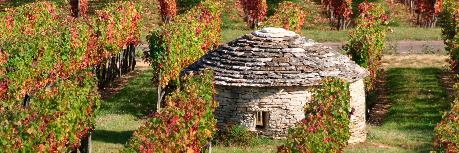 BourgogneWines's profile banner image