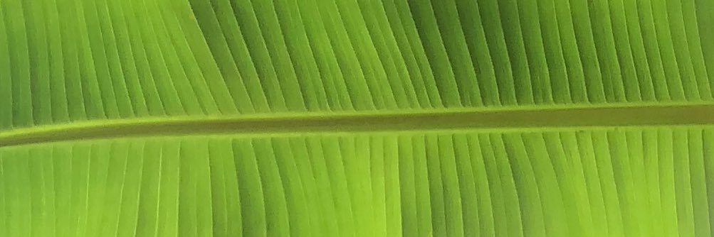 kenmarke's profile banner image