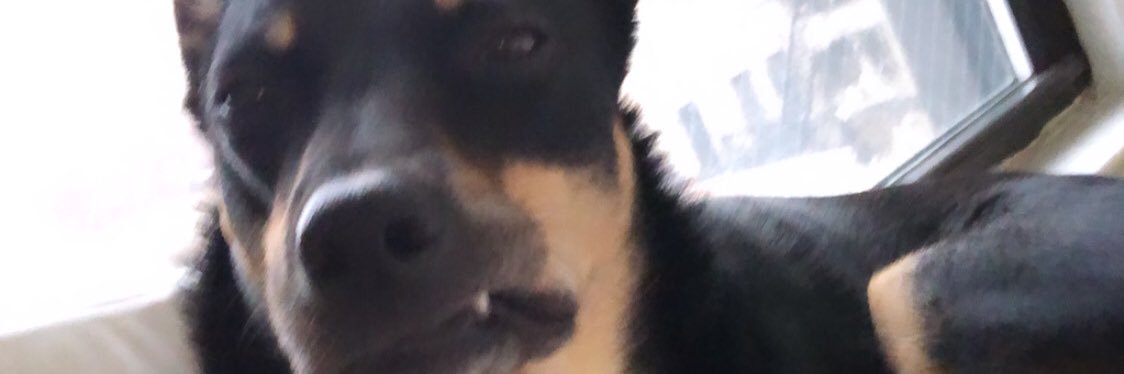 kgduq's profile banner image