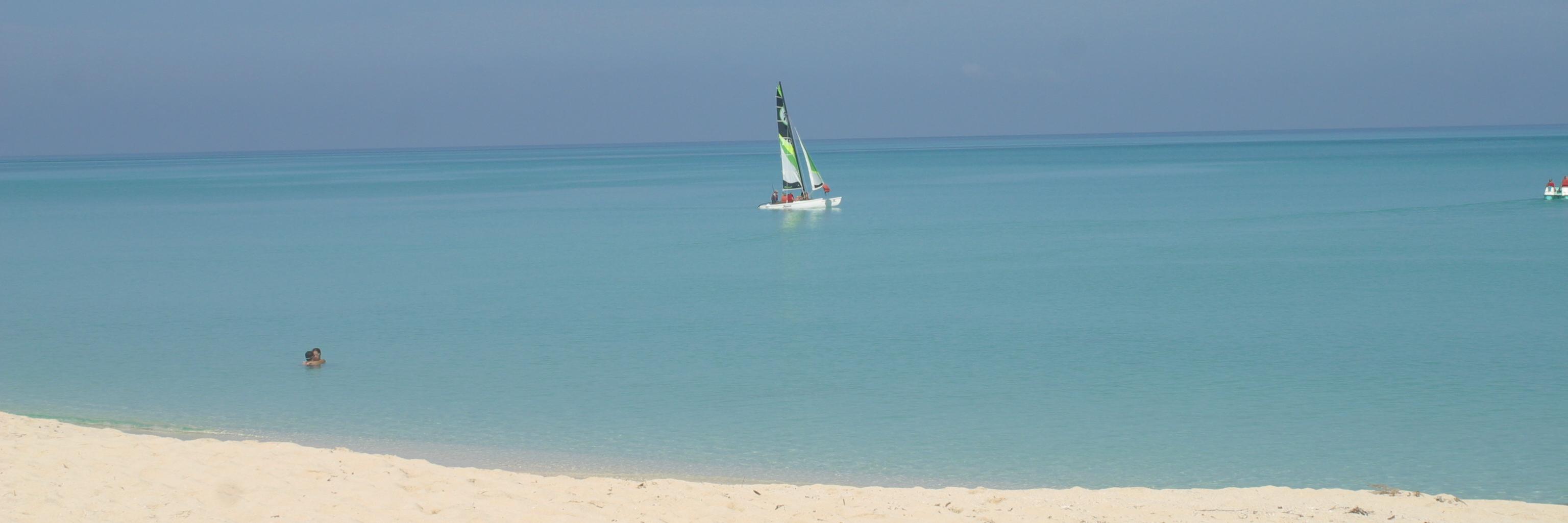 Fay Pottinger banner