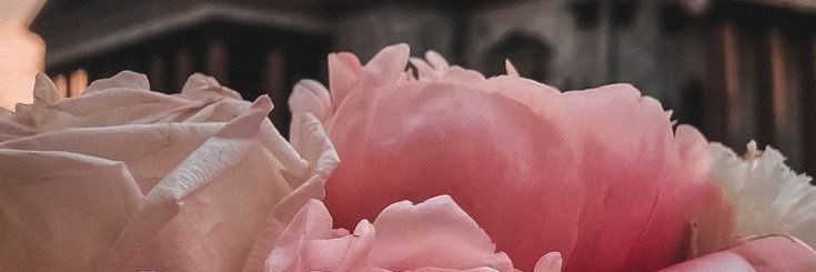 VibracionaTraka's profile banner image