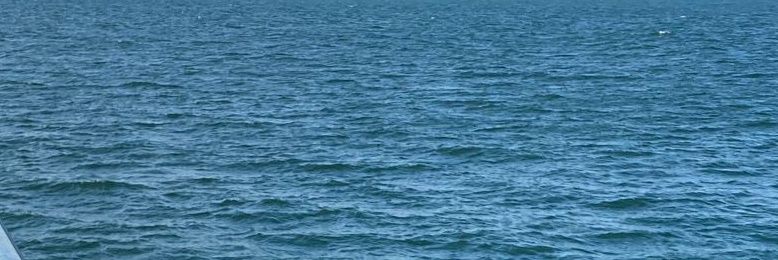 Patri_14_ACP's profile banner image