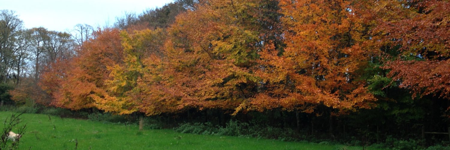 Catherine Campbell banner