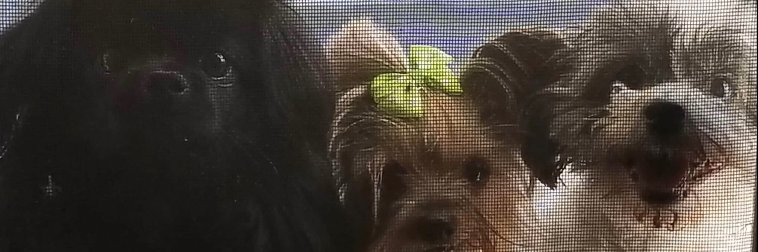 EndCaptivity4All banner