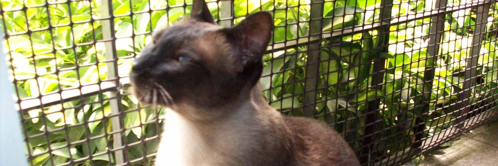 teresitaguzman3's profile banner image