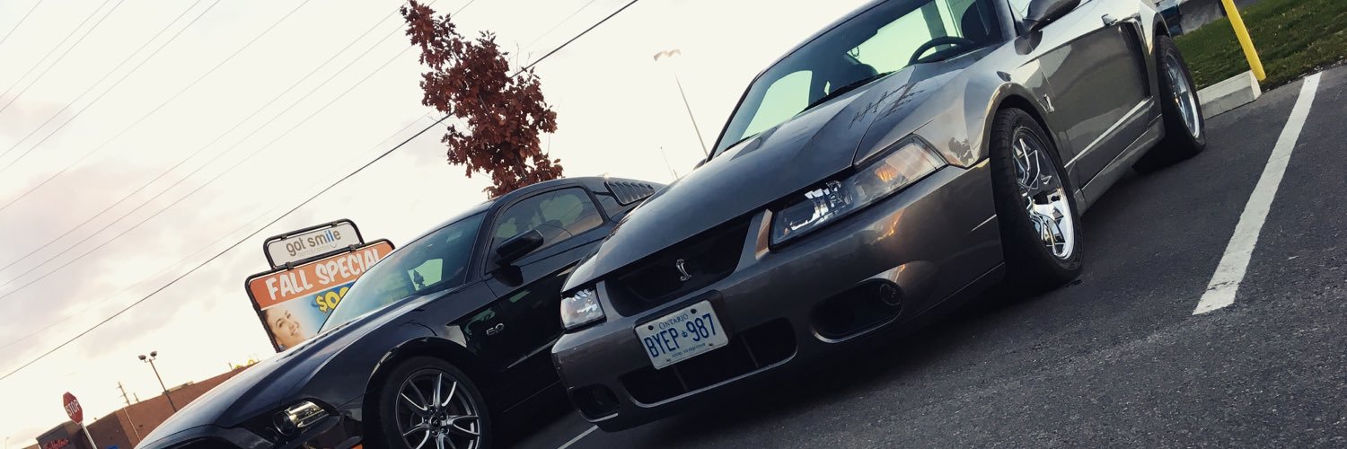 maggie5253's profile banner image