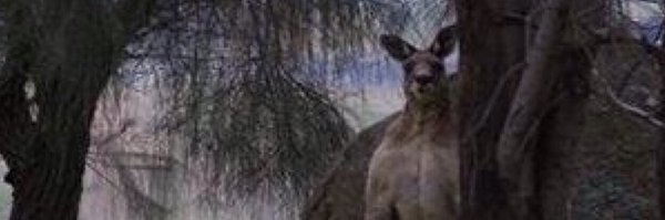 elldina2 Profile Banner