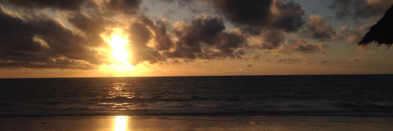noahtoleman's profile banner image