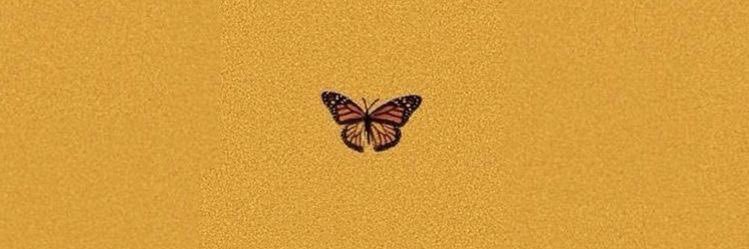 b e x banner