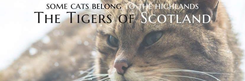 leagater's profile banner image