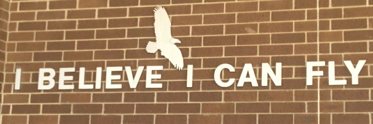 Brianna Zeoli banner