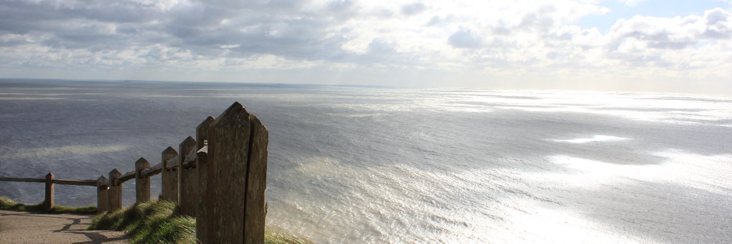 RachelMaisey's profile banner image