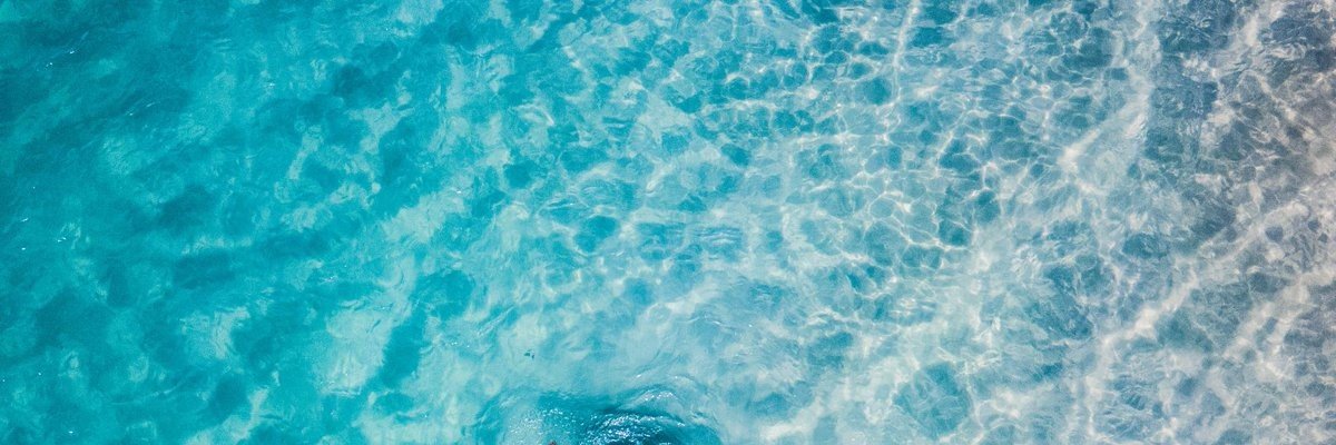 ferninick's profile banner image