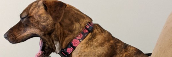 Extinctearth Profile Banner