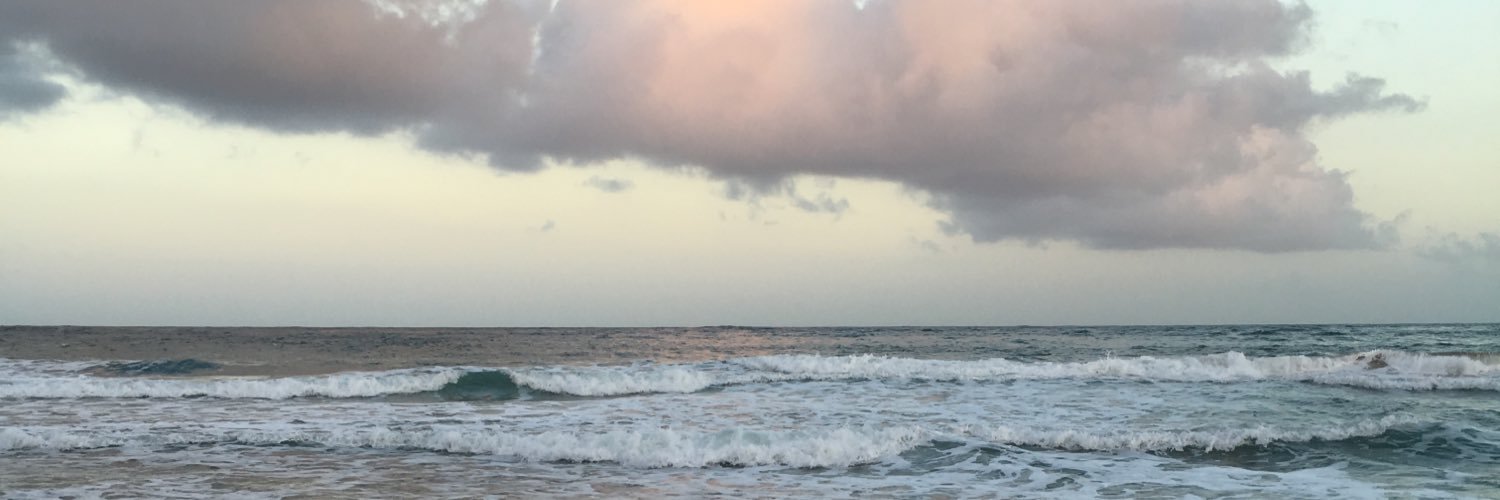 kyleepoznanski's profile banner image