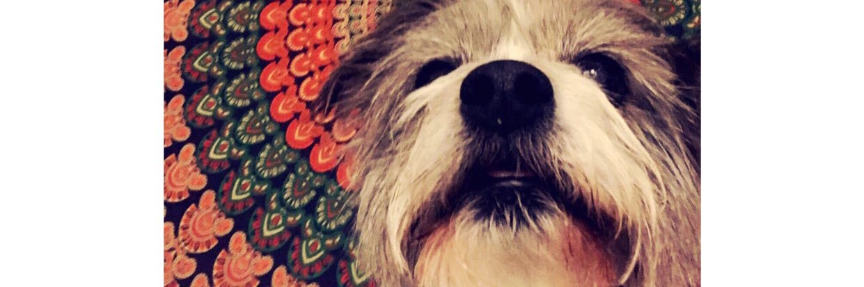 RachelRenee101's profile banner image