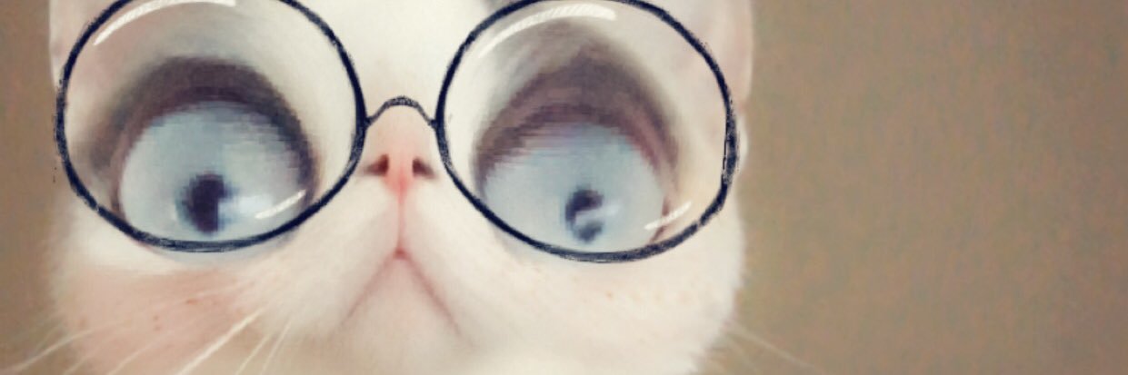 JennnyVM's profile banner image