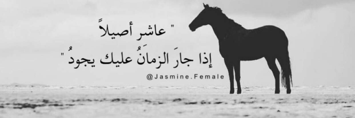 ATALLAH_77's profile banner image