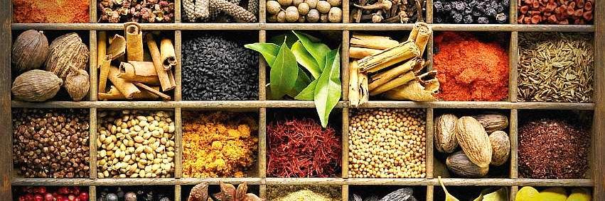 EliteCulinaria's profile banner image