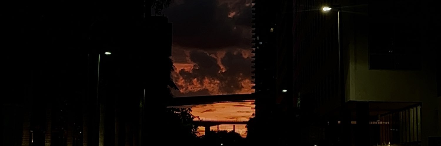 leslievidauri's profile banner image