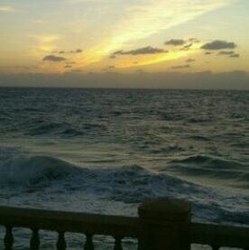 nada_murad's profile banner image