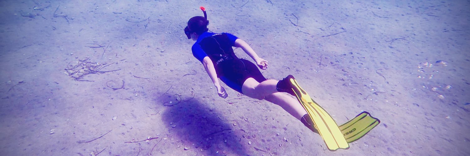 Batakoja™️ banner