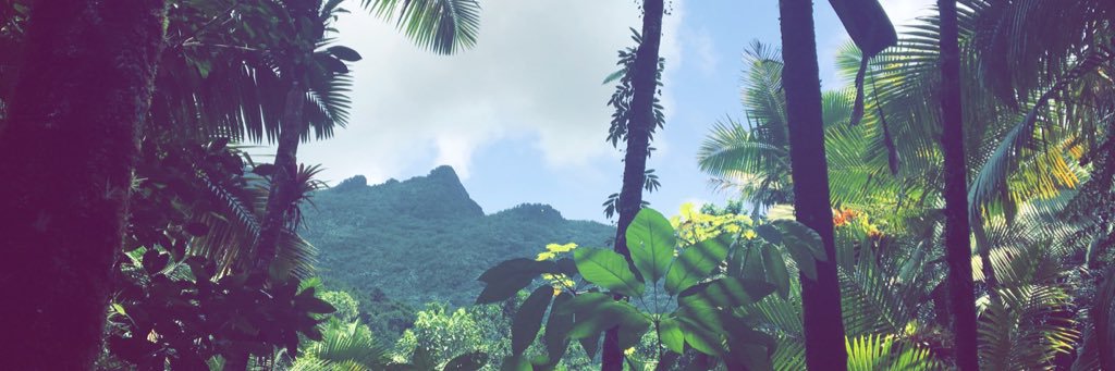 PJNJAllday's profile banner image