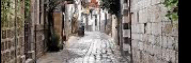 الكاتبة غريد الشيخ محمد banner
