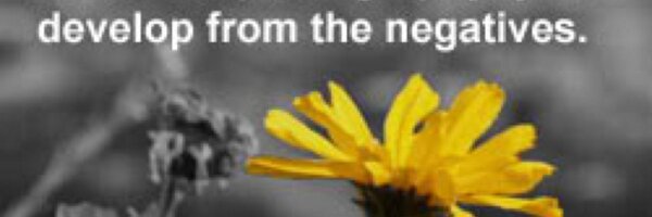 ash_721 Profile Banner