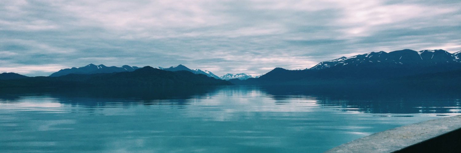 lexicook96's profile banner image