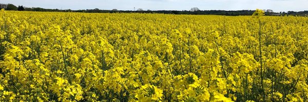 TeiaG2012 Profile Banner