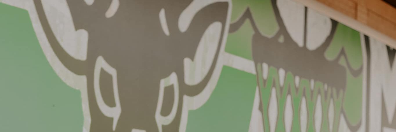 lexikoontz's profile banner image