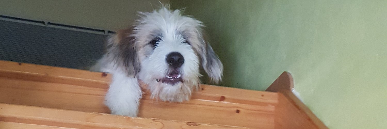 Eric Bertinat banner