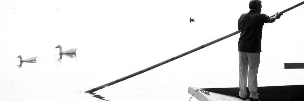 plumavertical's profile banner image