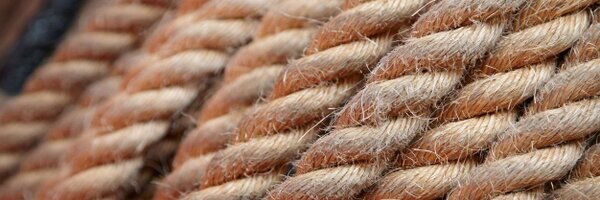 LWFITNESS4ALL Profile Banner