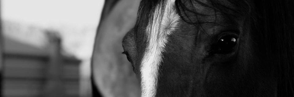 iHoFa_a's profile banner image