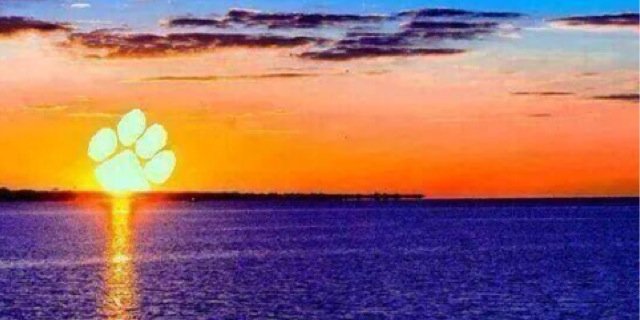 HFranklin62's profile banner image