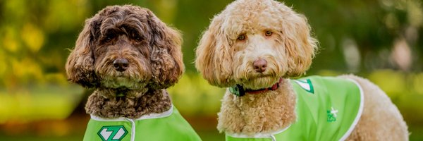 RozRimes Profile Banner