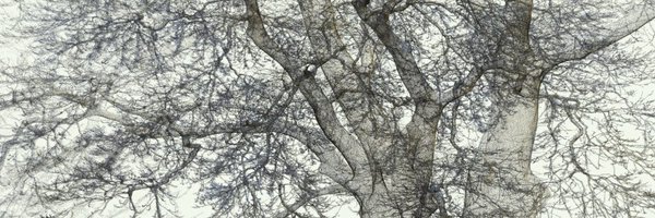 kungphil Profile Banner