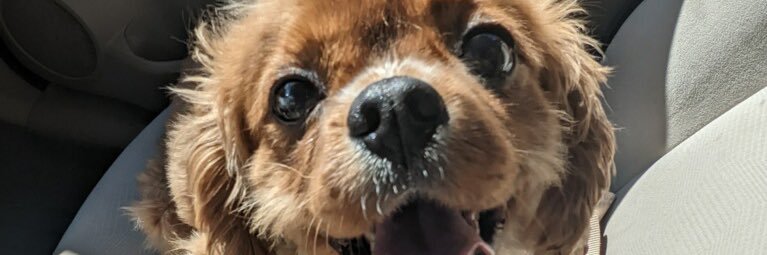 DrGlassman's profile banner image