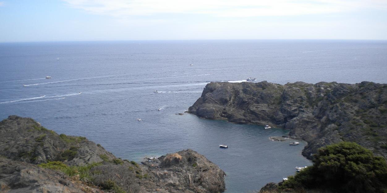 Tiggì banner