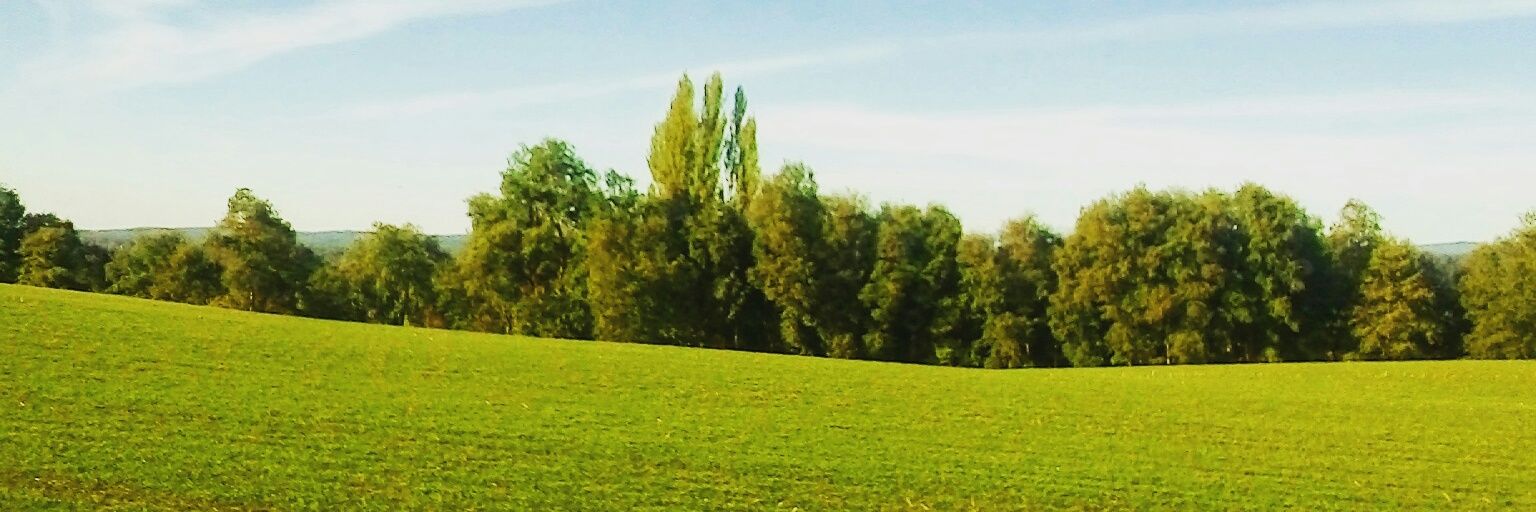 LucMuoz's profile banner image