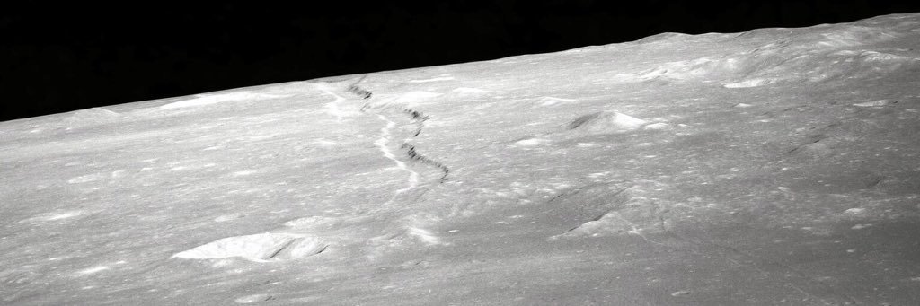 greilhuber's profile banner image