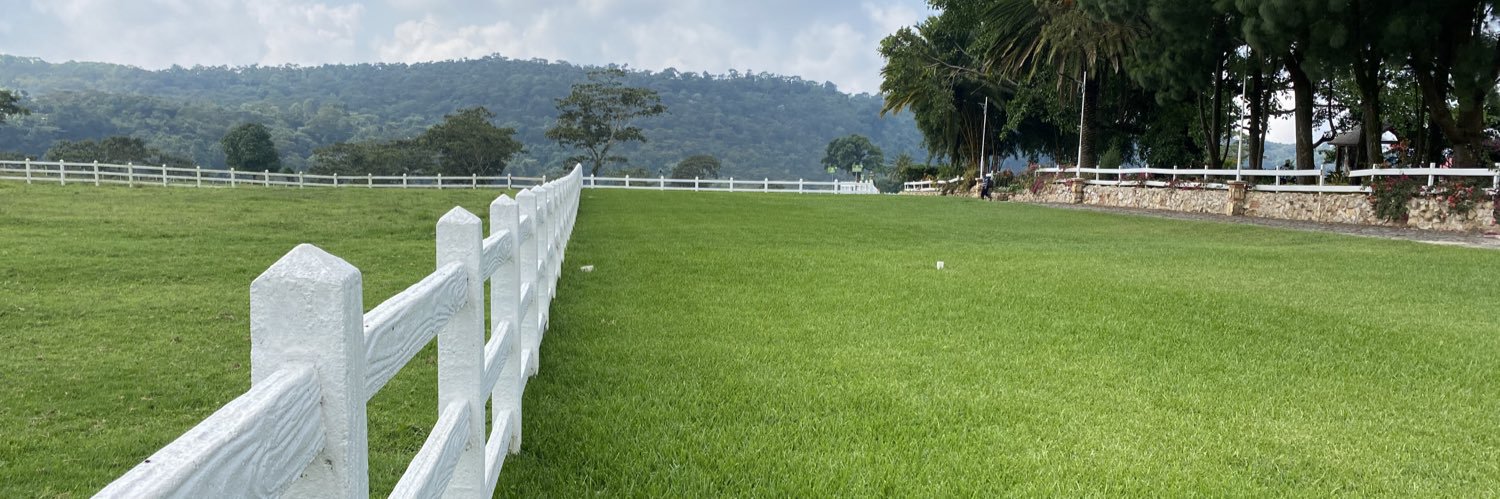 Luis Carlos Quintana banner