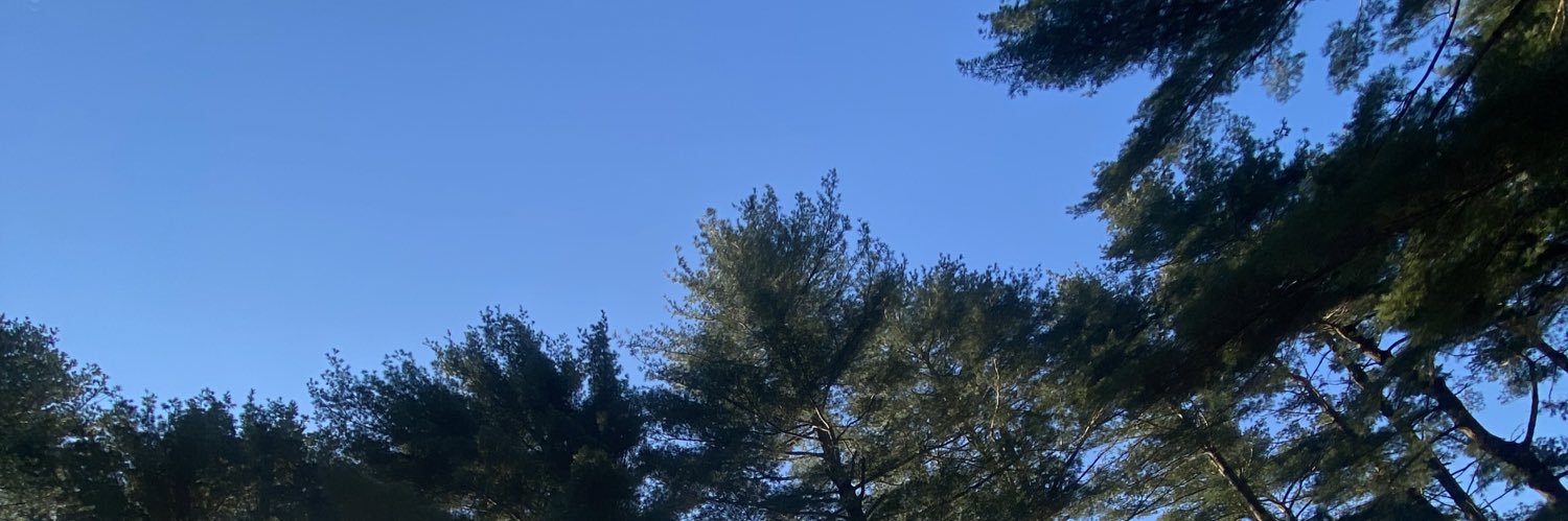 werdywoods's profile banner image