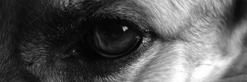 diegosanchezp's profile banner image